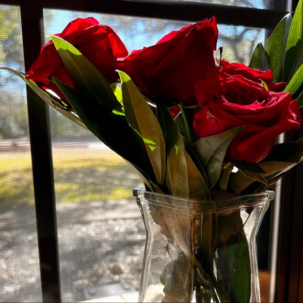Meet your Posher, Sophia